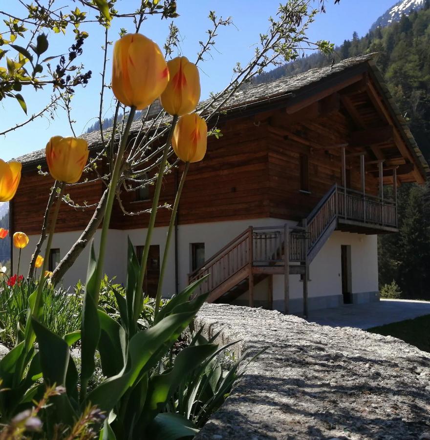 B&B Lorelei Gressoney-Saint-Jean Exterior foto